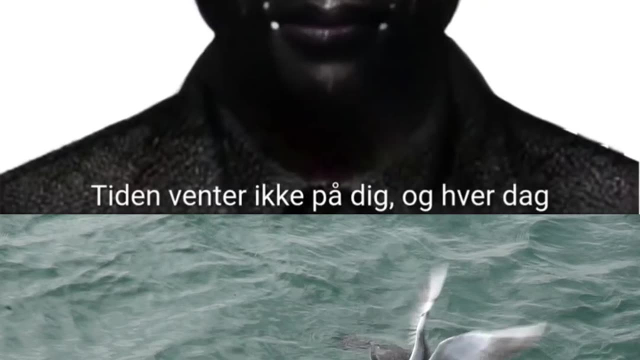 Kom i gang i dag