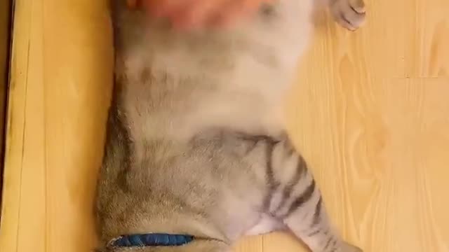 So noisy