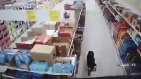 Perro callejero que se ‘roba’ una bolsa de comida en un supermercado se hace viral