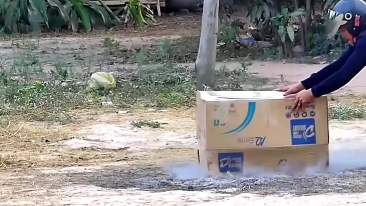 fake Lion and Fake Tiger Prank To dog Huge Box Prank.Troll Video