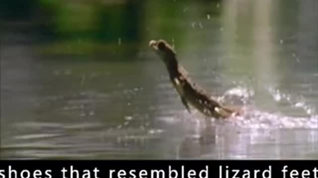 People Walking Over Water Experiment