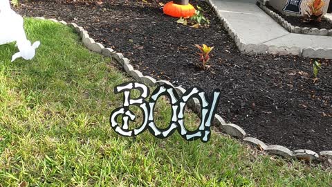 day 2 of decorating