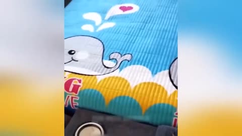 Funny Animal Videos 2023 🥰 - Funniest Dogs and Cats Videos