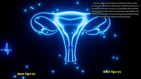 Pregnancy secrets: Discovering the miracle of birth