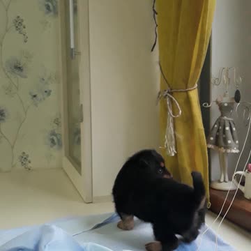 Whatever amuses the child, the toilet is on schedule