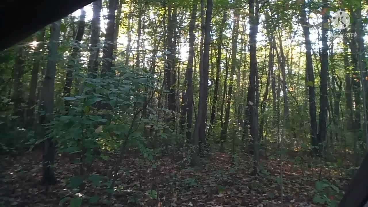 Friday evening Bible reading