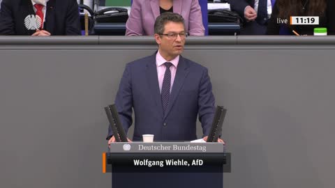 Wolfgang Wiehle Rede vom 24.03.2022 (2) - Gesundheit