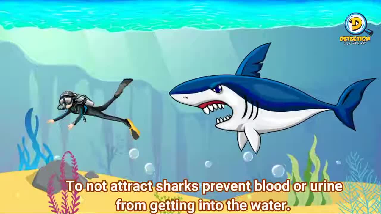 How to survive a shark attack travelsquare