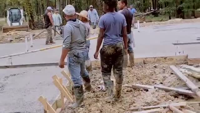 Dog Wanders Over Fresh Cement