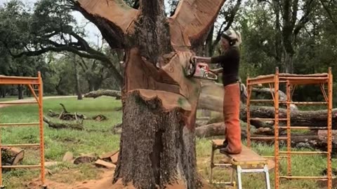 Chainsaw Wood Sculpture of Columbaire Hand Throwing Pigeon