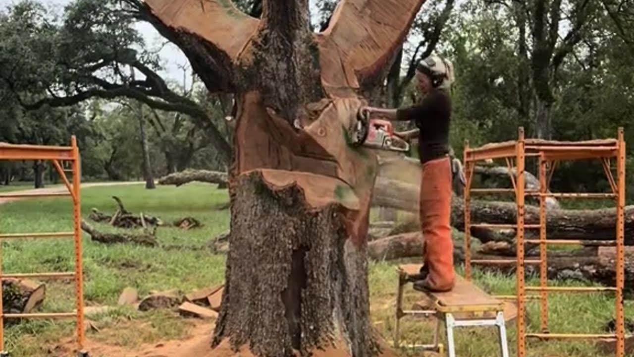 Chainsaw Wood Sculpture of Columbaire Hand Throwing Pigeon