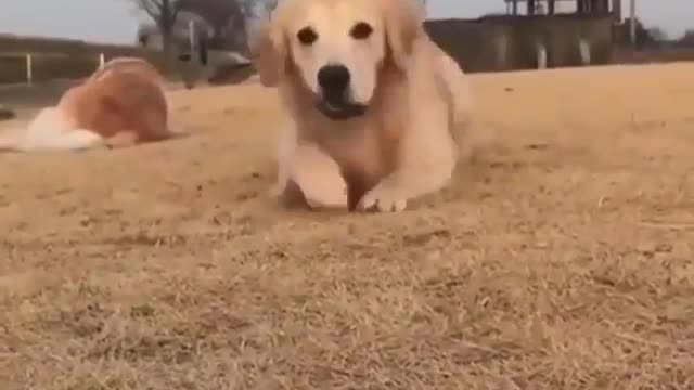 Haha that smile though πΆππ€