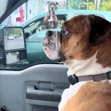 The longest red light ever.. 😂