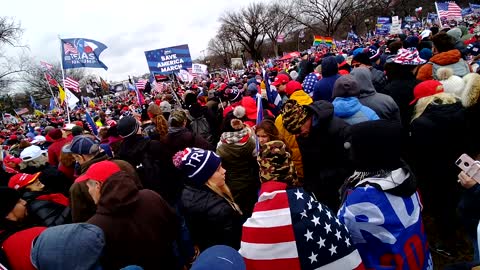 People in trees waiting for the President.