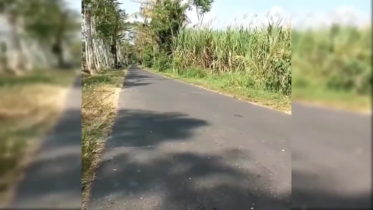 Motorcycle Compilation #1