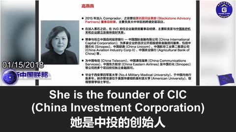 盗国贼王岐山将中国人的钱转移藏匿于海外，并对西方进行蓝金黄