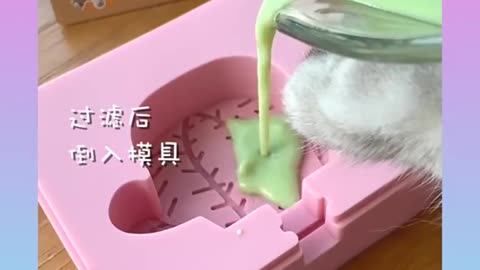 184.07_ Cute and Funny Cat Videos Compilation _#short