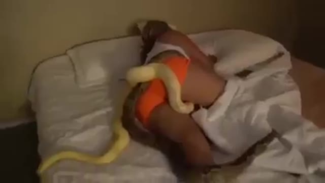 Snake in her bed! OMG