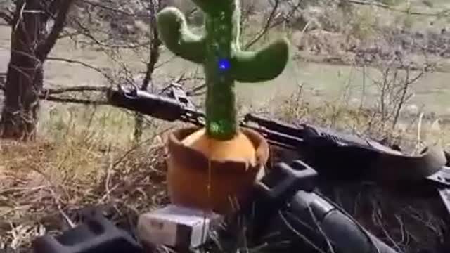 Ukrainian combats are playing with toy cactus on frontlines