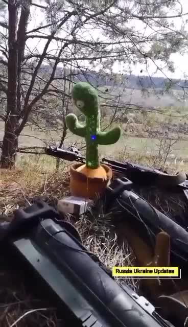 Ukrainian combats are playing with toy cactus on frontlines
