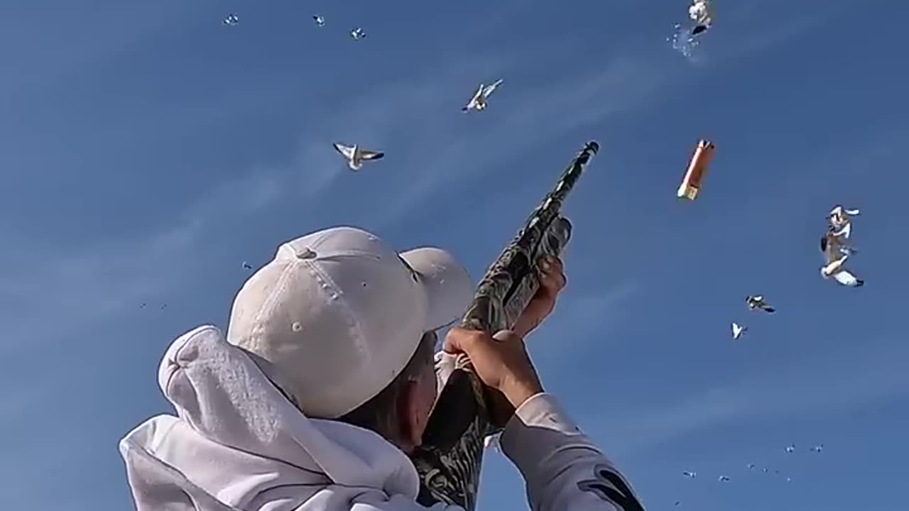 Snow Goose Hunt TRIPLE _ Snow Goose Hunt 2024 #hevishot #cabelas #benelli #divebombindustries