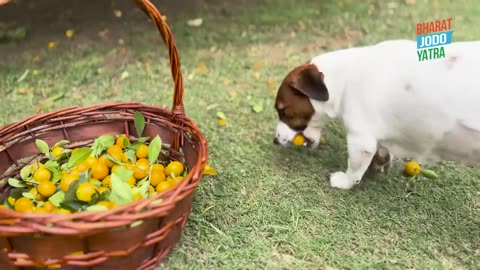 Mum, Memories and Marmalade | Happy New Year | Rahul Gandhi