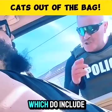 Cats Out Of The Bag
