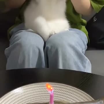 HAHAHA happy birthday