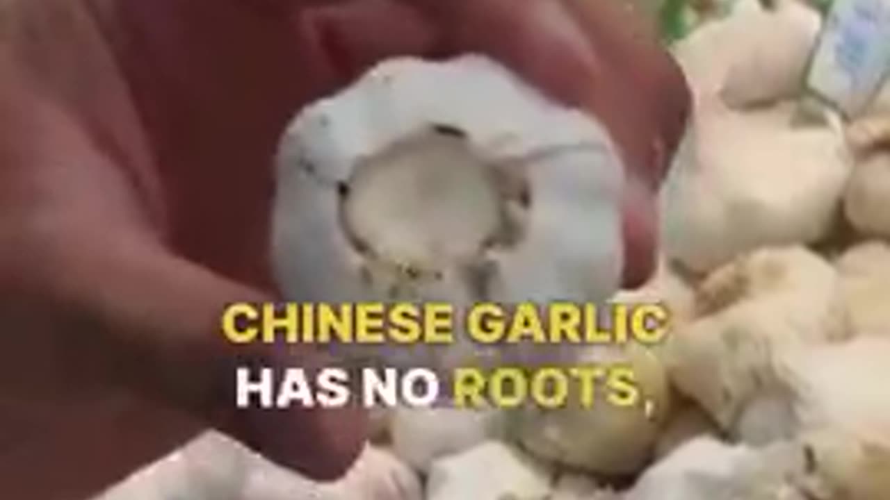 Stop Buying Chinese Garlic