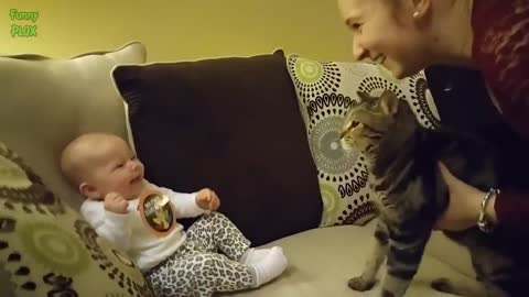 Cute baby laughing hysterically at cats complitation