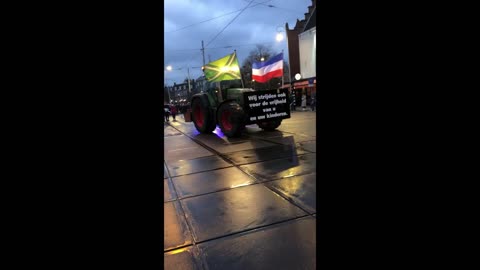 Kippenvel - Boeren krijgen een erehaag