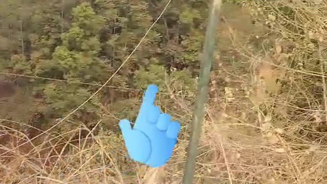 Tip tok took a life in Nepal