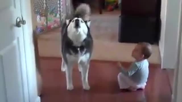 The child sings and the dog repeats behind himالطفل يغنى والكلب يردد خلفه