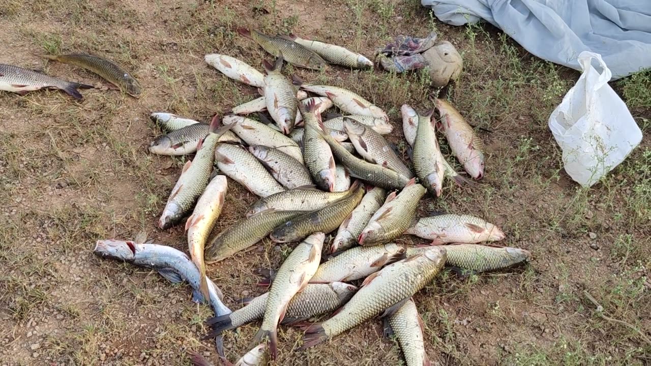 fish shikar [ Fishinhg l