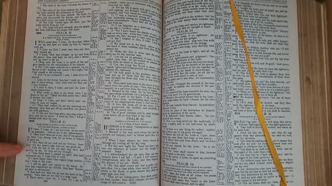 Psalms 31
