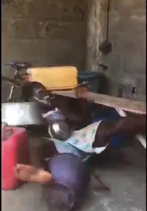 Funny shark eating in deram