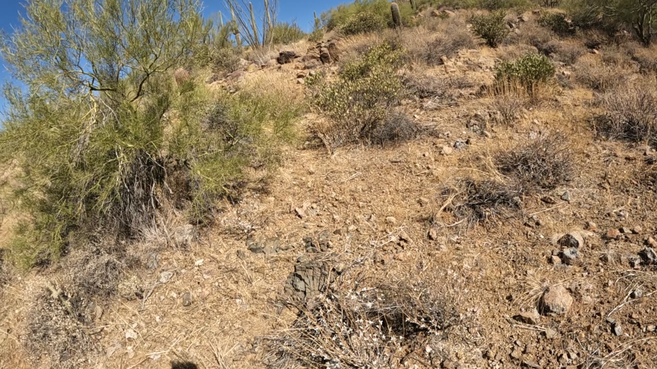 Arizona single track