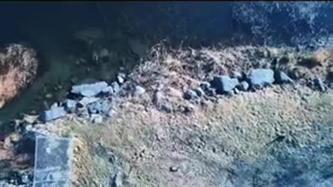 Drone video