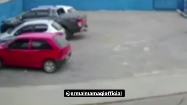 Escape a car accident only to be hit by a dog