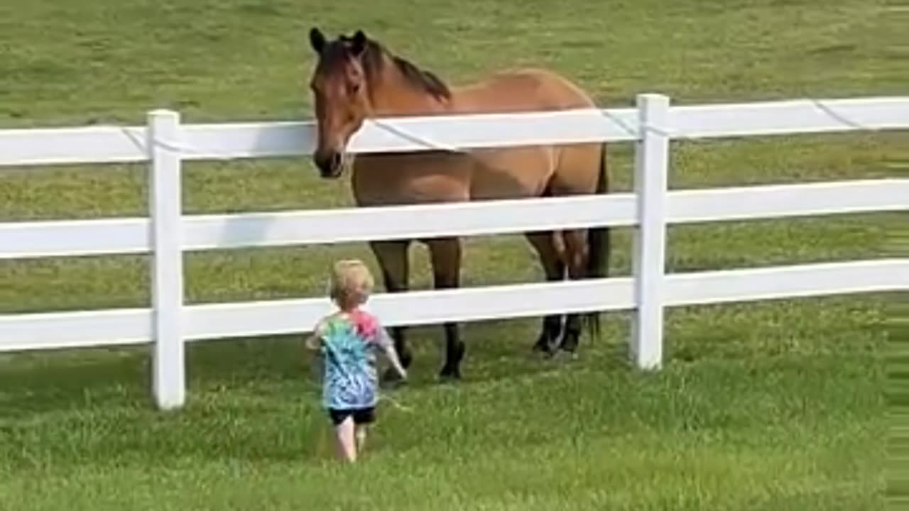 Little Boy Calls His Horse Friends