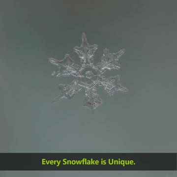 Macro Snowflake Photography And How To Do It