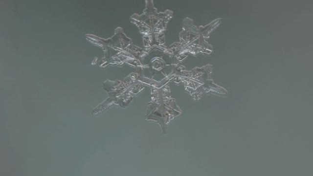 Macro Snowflake Photography And How To Do It