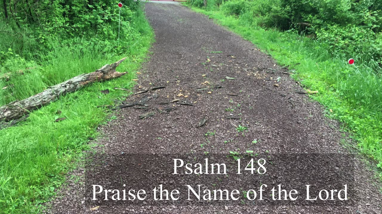 Psalm 148 - ESV Audio