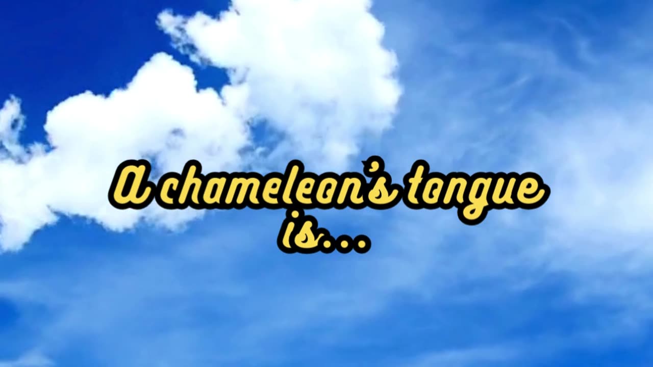 Animal Facts Chameleon Tongue #shorts