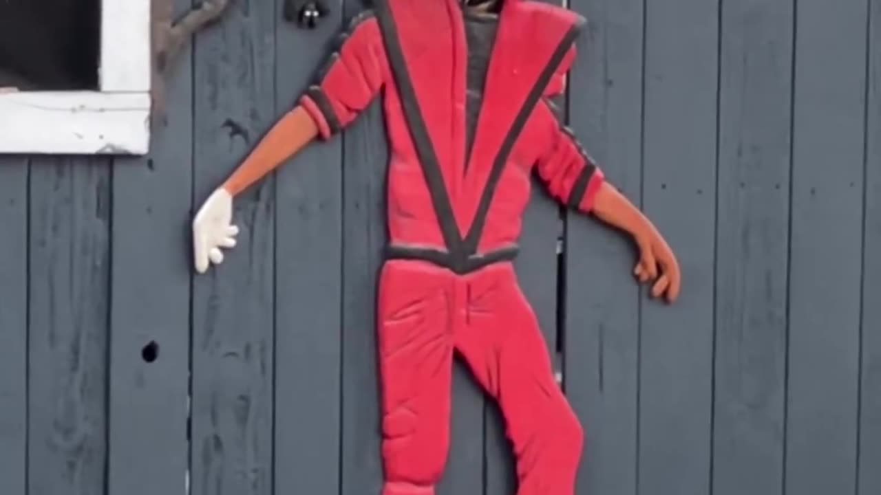This is the best video on internet for 2023 😂