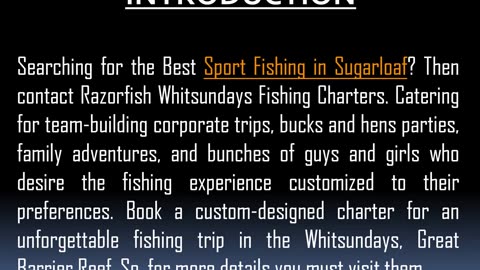 One of the Best Sport Fishing in Sugarloaf