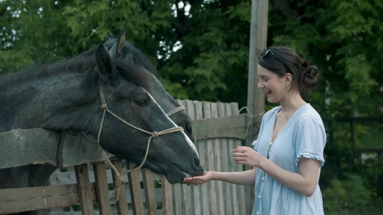 Young smiling woman feeding horses in paddock outdoors