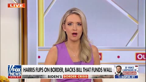 Kayleigh McEnany: This almost made me fall out of my chair