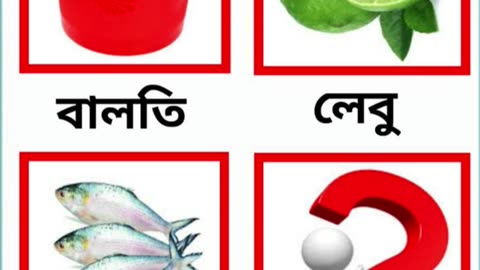 বুদ্ধির খেলা। ধাঁধাঁ পরীক্ষা। গুগলি ধাঁধাঁ। Big Drop DhaDha