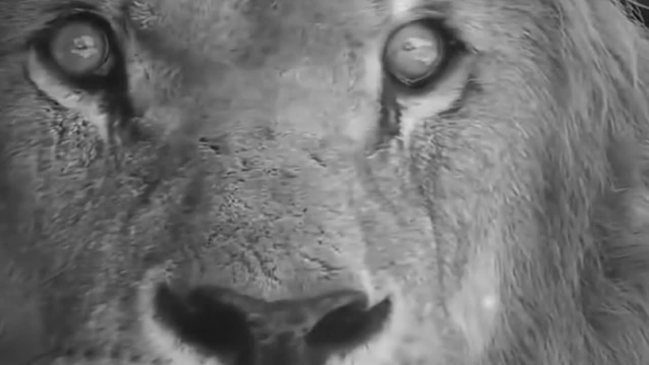 When God Wants to Make You Strong